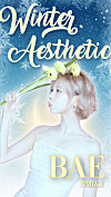 The winning fan art celebrating Bae's selection as the K-pop artist with the most “winter-perfect” visual. [PICNIC]