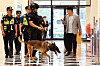 Police officials search for explosives following a bomb threat made against a department store in Gwangju on Aug. 11. [YONHAP]