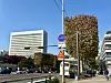 A roadside tree near the Supreme Court in Seocho District, southern Seoul, is pruned into a rectangular shape on Nov. 18. [LEE AH-MI]