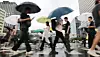 Pedestrians hold umbrellas as they cross a road in central Seoul on the morning of June 20. [NEWS1]