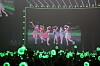 Virtual girl group Isegye Idol takes a photo with fans during the Isegye Festival held at the Gocheok Sky Dome in western Seoul on May 17. [PARABLE ENTERTAINMENT]