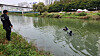 Officials search for a middle school student who went missing on Oct. 13, near the Jungnang Stream region in Uijeongbu, Gyeonggi, on Oct. 14. [GYEONGGI-DO BUKBU FIRE HEADQUARTERS]
