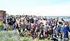 People plog at Jocheon Port in Jeju on June 14. [JEJU PROVINCIAL GOVERNMENT]