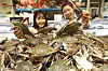 Korea is the largest crab consumer in the world in terms of crab consumption per capita. [LOTTE SHOPPING]