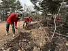 Soldiers inspect sites scorched by wildfires in Yeongdeok County in North Gyeongsang on March 28. [NEWS1]