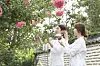 Cosmax researchers collect fragrance from flowering trees as part of the comestics manufacturer's 'Scenteritage' project. [COSMAX]