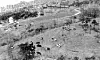 Yonsei University's 11 acres of grassland near its Sinchon campus in Seodaemun District, western Seoul, which was turned into a pasture in the 1970s [YONSEI UNIVERSITY DAIRY]