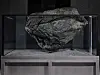 ″Cambrian Explosion 16″ (2018) by Pierre Huyghe [LEEUM MUSEUM OF ART]