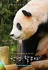 Fu Bao documentary set for September release at local theaters