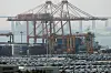 Cars are parked at Pyeongtaek-Dangjin Port in Pyeongtaek, Gyeonggi, on April 6 [NEWS1]