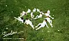 A teaser image of boy band Seventeen's first full-length album ″First 'Love&Letter'″ (2016). Seventeen, soon celebrating its 10th anniversary since its debut, has been one of the most prominent examples of ″cheongnyang″-themed idols. [PLEDIS ENTERTAINMENT]