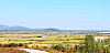 The Baekma Hill seen along with the Cheorwon plain, Gangwon [JOONGANG ILBO]