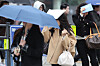 Rain falls in Gwanghwamun Intersection in Jongno District, central Seoul, on April 14. [YONHAP]