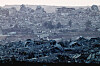 Destroyed buildings lie in Gaza, as seen from the Israeli side of the border, July 28. [REUTERS/YONHAP]
