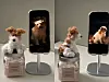 The “Mooyong keyring,″ merchandise for the film ″The Old Woman with the Knife.″ The dog Mooyong, shown on a phone screen, is a pet taken in by the film’s protagonist Jogak, played by Lee Hye-young. [NEXT ENTERTAINMENT WORLD]