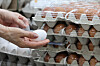 Eggs are displayed at a supermarket in Seoul on June 17. [YONHAP]