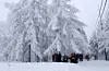 Visitors at Gangenung’s Daegwallyeong mountain pass last month. The mountain is a famous hiking trail all year round. [YONHAP]