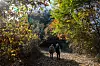 Tourists participate in the DMZ Peace Trail program in Yeoncheon, Gyeonggi, in November 2024. [JOONGANG ILBO]