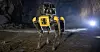 Spot robot dog [BOSTON DYNAMICS]