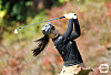 Yoon Ina hits a shot during the Dukshin EPC-Seoul Economics Ladies Classic in Yongin, Gyeonggi on Oct. 26, 2024. [NEWS1]