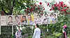 Posters for presidential candidates are hung up on the wall of an apartment complex in western Seoul on June 2. [NEWS1]