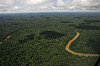 This May 17, 2007 file photo shows Yasuni National Park in Ecuador's northeastern jungle. Photo is not related to the story. [AP/YONHAP]