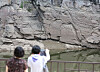 The Bangudae Petroglyphs in Ulsan reemerge on Aug. 26 after being submerged for more than a month. [YONHAP]
