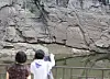 The Bangudae Petroglyphs in Ulsan reemerge on Aug. 26 after being submerged for more than a month. [YONHAP]