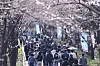 People walk in Seokchon Lake Park in southern Seoul on April 3. [NEWS1]