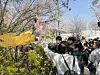 Tour participants touch flower sculptures during Yeongdeungpo District's annual Spring Flower Festival in Yeouido, western Seoul, on April 8. [CHO JUNG-WOO]