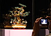A replica of banhwa, gifted by King Gojong to French President Sadi Carnot, is on display at the exhibit 'Banhwa: Blossoms of Auspicious Wishes' at Dondeokjeon of Deoksu Palace during a press briefing on June 2.