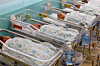 Newborn babies are seen in cradles in a nursery at a hospital in Gyeonggi on April 22. [NEWS1]