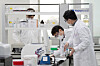 Researchers are seen developing vaccination material for the Covid-19 prevention at a laboratory in Seongnam, Gyeonggi, in August 2021. [YONHAP]