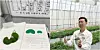 From left: A research note about green centella asiatica; Riman Korea's researcher Kim Jung-hwan explains difference about home-grown green centella asiatica and ordinary species. [LEE SO-JIN]