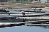 A worker on a salt farm in Shinan County, South Jeolla, on April 7, 2025. The image is unrelated to the story. [YONHAP]