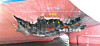 The hull damage on a port side of the Korean-operated vessel HMM Namu [MINISTRY OF FOREIGN AFFAIRS]