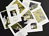 Printed wedding invitation cards made by wedding invitation company Barunn Company [BARUNN COMPANY]