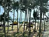 Heavy machinery and cranes work alongside palm-fringed beaches in Phu Quoc on April 18. [SEO JI-EUN]