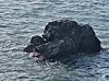 Woman rescued after being stranded on rocks near Daebu Island