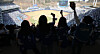 Samsung Lions fans cheer during a preseason KBO League game between the LG Twins and Samsung Lions at Samsung Lions Park in Daegu on March 22. [NEWS1]