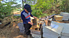 Kim Jong-hwa, senior vice chairman of the Korea Beekeepers Association, shows a honeycomb frame from inside a hive at his apiary in Gimje, North Jeolla, on May 1.
