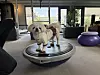 Mary, a Pekingese, at dog pilates [WOO JI-WON]