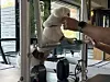 Mary places her paws on the swinging straps of a Cadillac for another Pilates exercise. [WOO JI-WON]