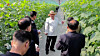 North Korean leader Kim Jong-un, center, inspects a large-scale greenhouse complex in the northwest city of Sinuiju on May 31 in this photo released by the Korean Central News Agency the next day. [YONHAP]