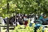 Tents are seen installed beneath trees at Mangwon Hangang Park on May 9, 2021. [YONHAP]