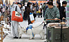 Pet owners browse the K-pet Fair, hosted by Korean Pet Food Association, held in Setec in Gangnam, southern Seoul, with their pets on March 22. The event was held in celebration of the national puppy day on March 23. [YONHAP]