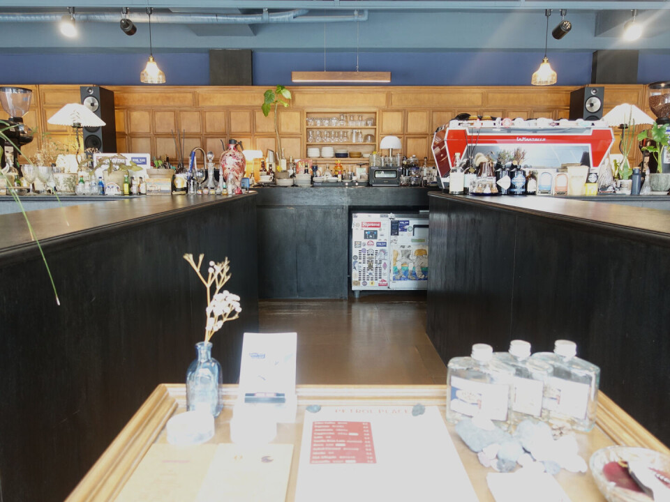 Petrol Place cafe in Mangwon with deep navy walls, tropical plants, and commissioned wall art in a low-lit space