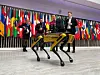 A robotic dog is shown at the Responsible Artificial Intelligence in the Military Domain summit held in The Hague, the Netherlands, on Feb. 15, 2023. [REUTERS/YONHAP]