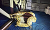 A gigantic yellow python is seen in a luggage compartment of an intercity bus in Daegu on May 21. [DAEGU FIRE DEPARTMENT]