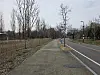 The trail in Mapo District, western Seoul, on March 24. [ALICIA CARR]